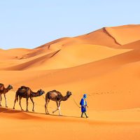 Merzouga