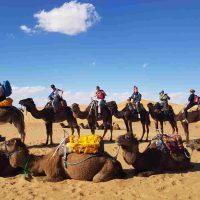 Excursion-chameau-Merzouga