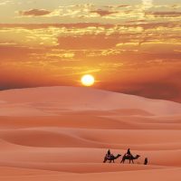 berber-camel-desert-morocco-wallpaper-preview