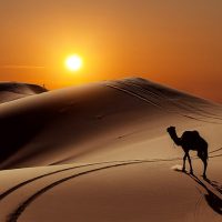 the-sun-the-dunes-people-desert-wallpaper-preview
